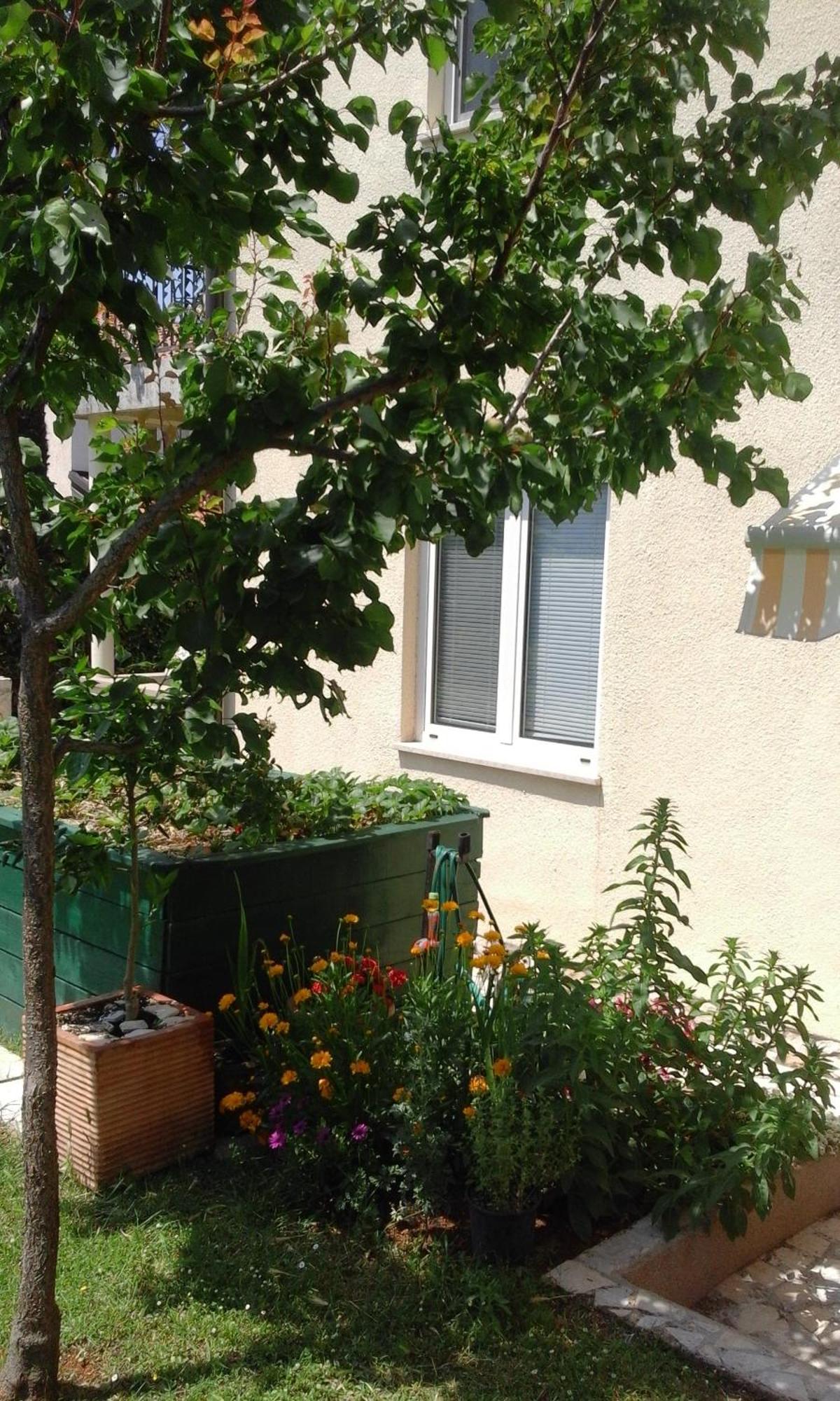 Apartment Laura Пореч Екстер'єр фото